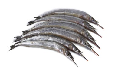 Garfish beyazda izole edilmiş.