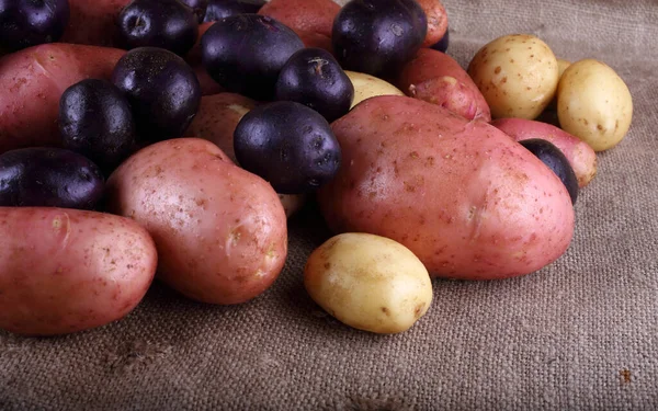 Fechar Colheita Batatas — Fotografia de Stock