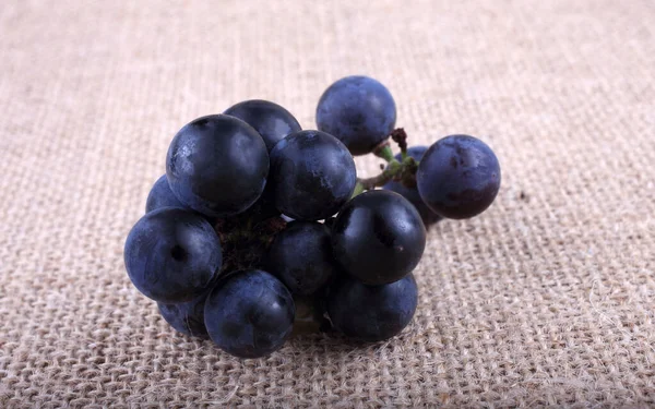 Uva Vinho Preta Ensacamento — Fotografia de Stock