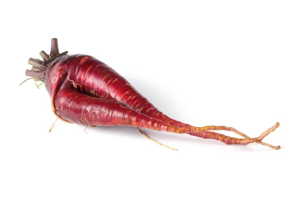 Lustige Hässliche Rote Karotte — Stockfoto