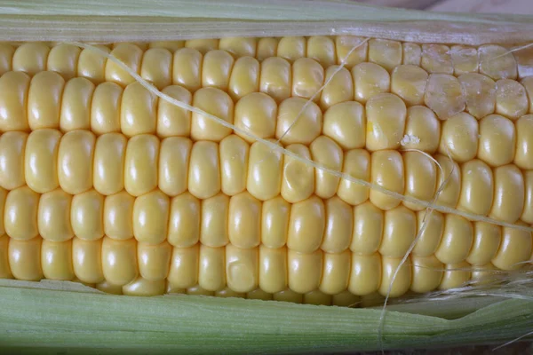 Close Ripe Corn Harvest — Stock Photo, Image