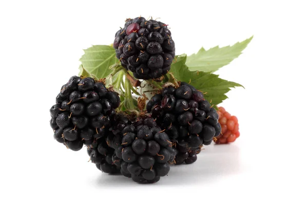 Brombeeren Auf Weißem Hintergrund — Stockfoto