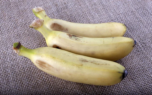 Close Tropical Banana Fruits — Stock Photo, Image