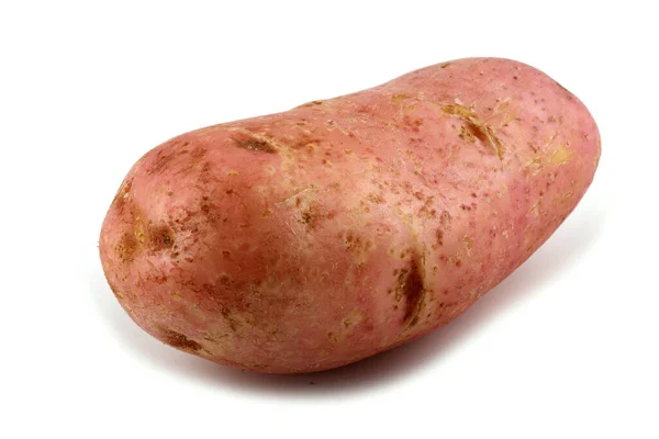 Sluiten Van Aardappeloogst — Stockfoto