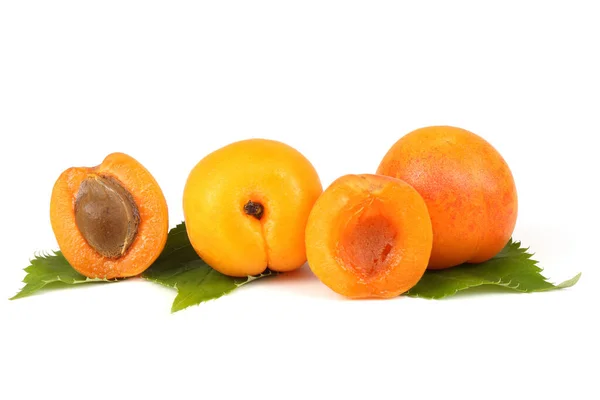 Fresh Apricots White Background — Stock Photo, Image