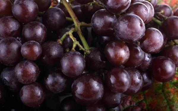 Raisins Frais Sur Les Feuilles Érable — Photo