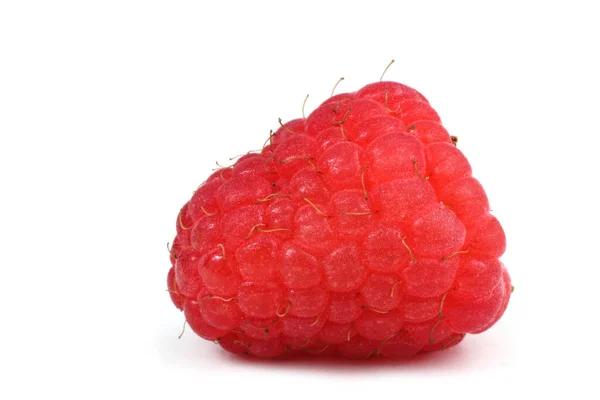 Raspberry Organik Segar Pada Latar Belakang Putih — Stok Foto