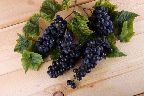 Uva Vino Negro Mesa — Foto de Stock
