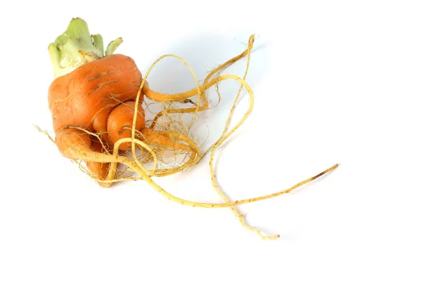 Funny Ugly Carrot Isolated White — Stock Photo, Image