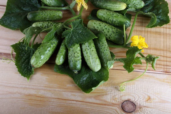Komkommers Tafel Landelijke Stijl — Stockfoto