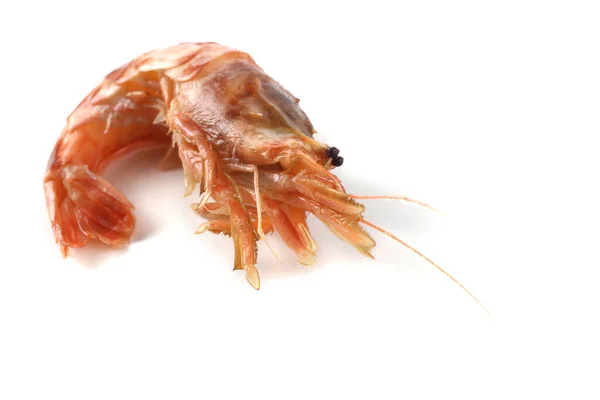 Argis Lar Kuro Shrimp Northern Argid Pacific Shrimp — Stock Photo, Image