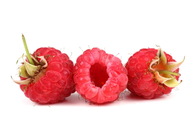 Fresh Organic Raspberries White Background — Stock Photo, Image