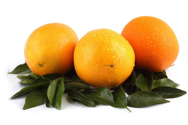 Tangerinas Com Folhas Fundo Branco — Fotografia de Stock