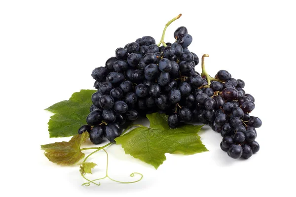 Zbliżenie Świeżych Dojrzałych Winogron — Zdjęcie stockowe