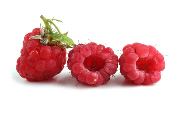 Framboises Biologiques Fraîches Sur Fond Blanc — Photo