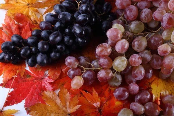 Different Color Grape Table — Stock Photo, Image