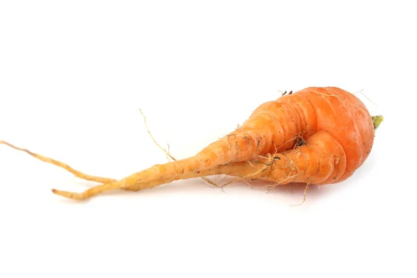 Funny Ugly Carrot Isolated White — Stock Photo, Image