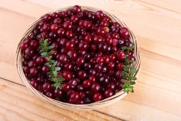 Des Canneberges Sur Table Baies Fraîches — Photo