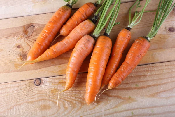 Primer Plano Zanahorias Frescas Maduras — Foto de Stock