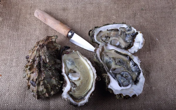 Oysters on bagging with special knife