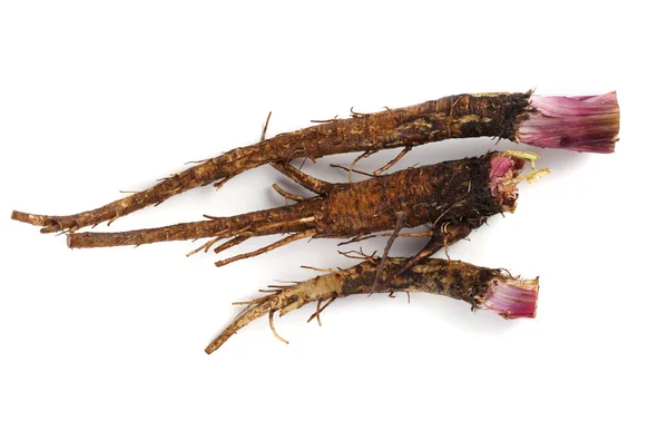 Burdock Roots Isolated White — Stock Photo, Image