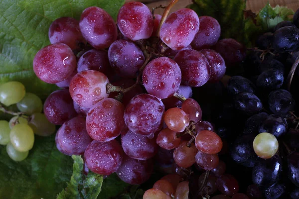 Grape Table Country Style — Stock Photo, Image