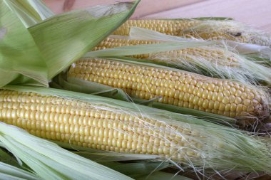 Masada mısır var. Ülke biçimi