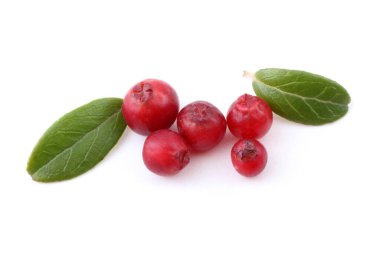 beyaz arkaplanda kızılcıklar