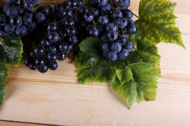 Masada siyah şarap üzümü