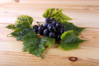 Masada siyah şarap üzümü