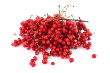 Schisandra Chinensis beyazı izole etti