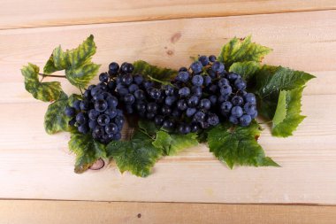 Masada siyah şarap üzümü