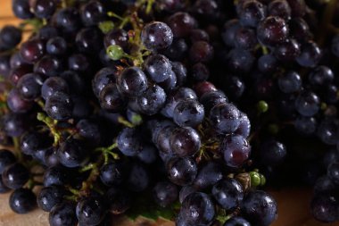 Masada siyah şarap üzümü