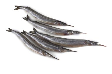 Garfish beyazda izole edilmiş.