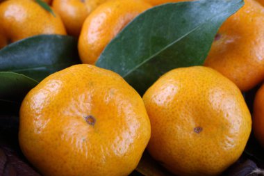 Bir sürü mandalina. Kapat.