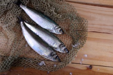 İnternette ringa balığı. Yakalayın