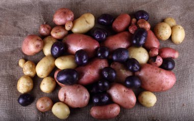 Patates hasadını kapat.