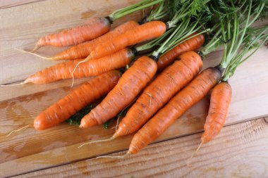 Olgun taze havuçlara yakın dur.