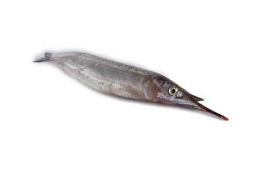 Garfish beyazda izole edilmiş.