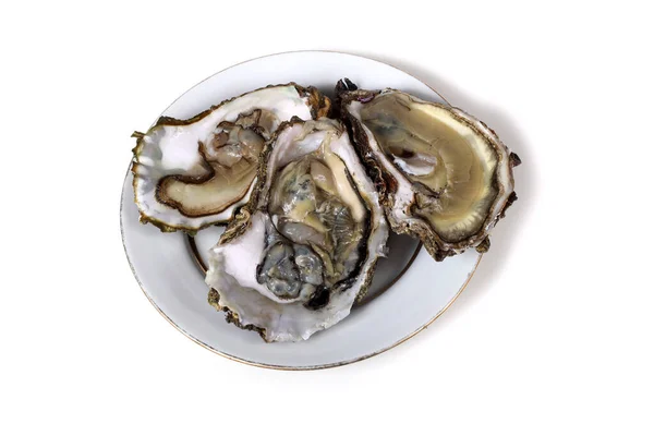Opened Oysters Dish — Stock Photo, Image