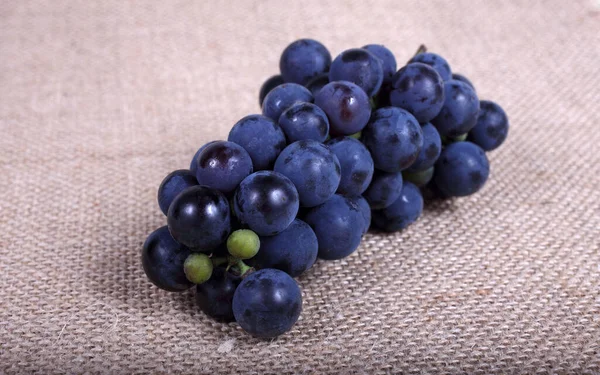 Grape Bagging Wine Grape Variety — Stock Photo, Image
