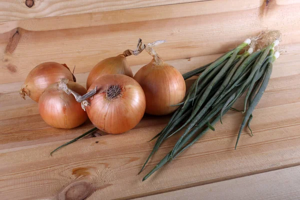 Uien Tafel Landelijke Stijl — Stockfoto