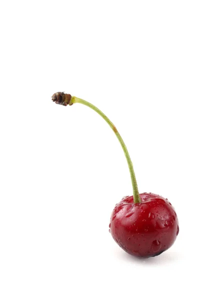 Cerezas Aisladas Sobre Fondo Blanco — Foto de Stock