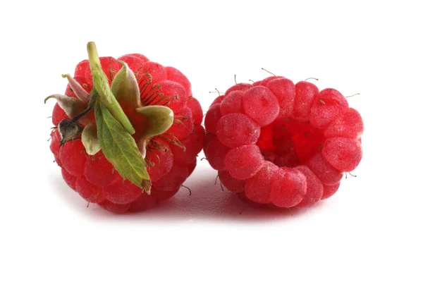 Framboises Biologiques Fraîches Sur Fond Blanc — Photo