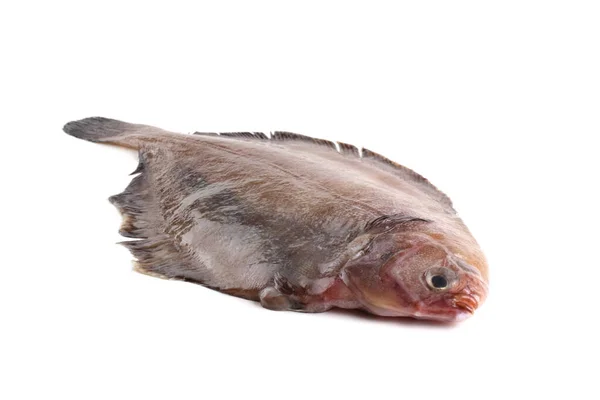 Flathead Flounder Pacifische Vetbot — Stockfoto