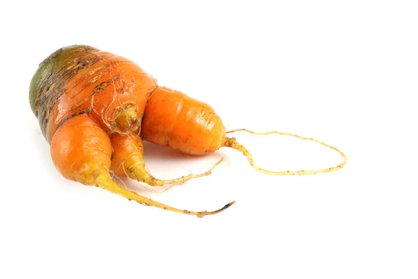 Unusual Shape Carrots Isolated White — Stock Photo, Image