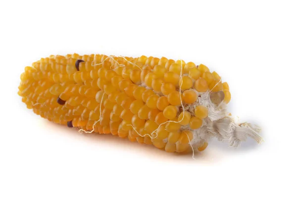 Gelber Mais Isoliert Auf Weißem Alte Sorte — Stockfoto