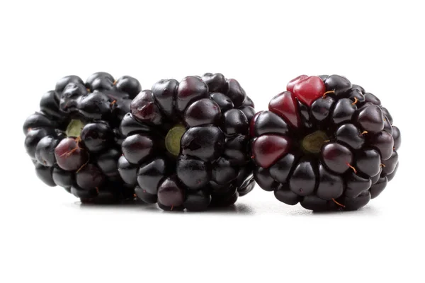 Blackberries White Background — Stock Photo, Image