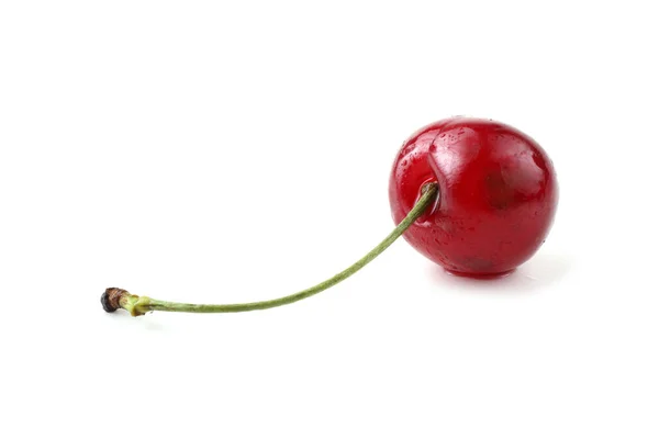 Cerezas Aisladas Sobre Fondo Blanco — Foto de Stock