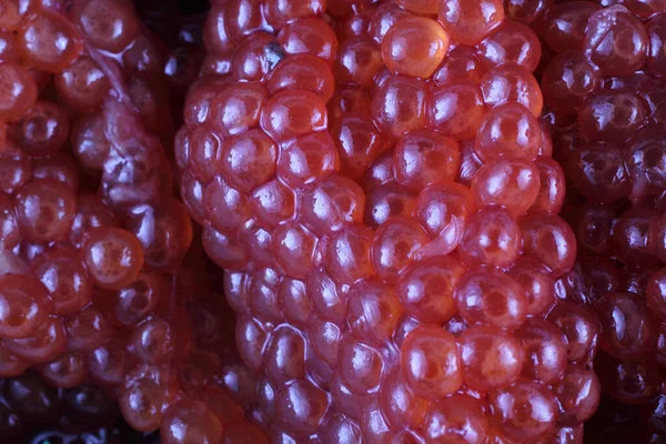 Uncooked Red Caviar Background — Stock Photo, Image